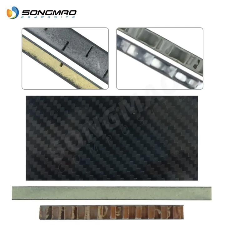 Carbon Fiber Sandwich Panel